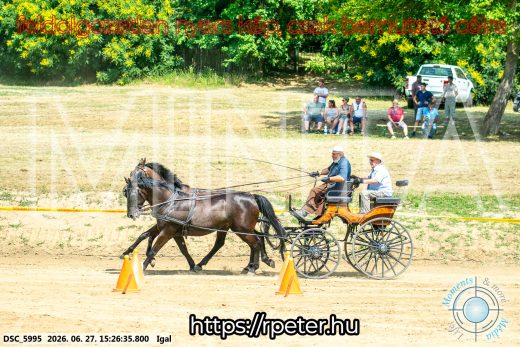 Mintakép 20260627-2787