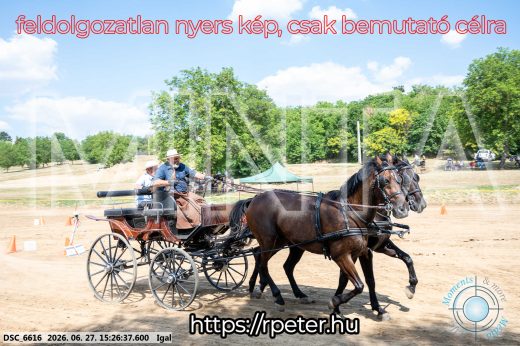 Mintakép 20260627-2790