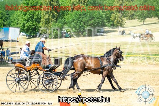 Mintakép 20260627-2793