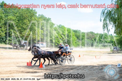 Mintakép 20260627-2795