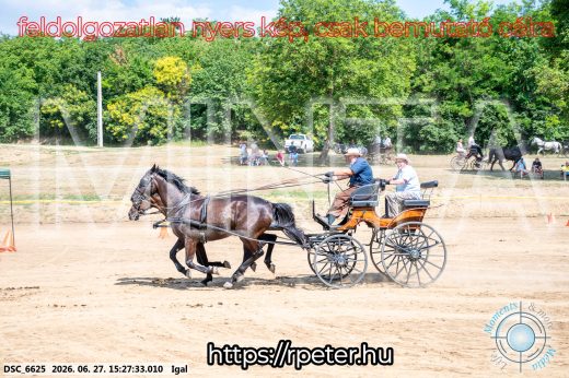 Mintakép 20260627-2797