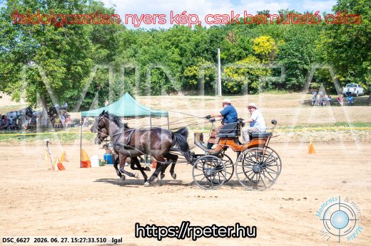Mintakép 20260627-2799