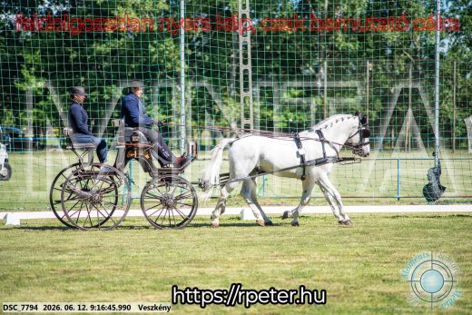 Mintakép 20260612-146