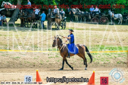 Mintakép 20260627-2809