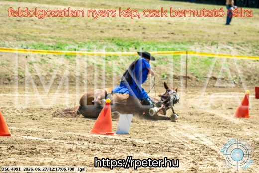 Mintakép 20260627-2831