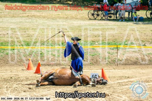 Mintakép 20260627-2846
