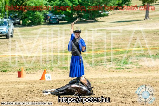 Mintakép 20260627-2852