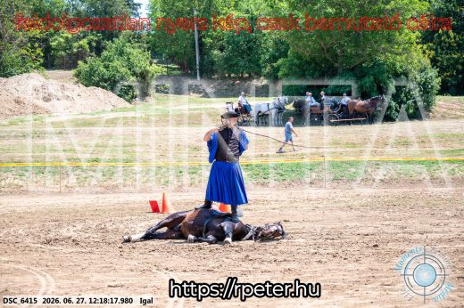 Mintakép 20260627-2860