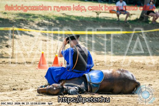 Mintakép 20260627-2862