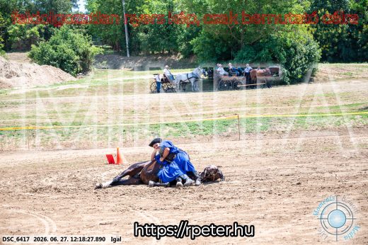 Mintakép 20260627-2864