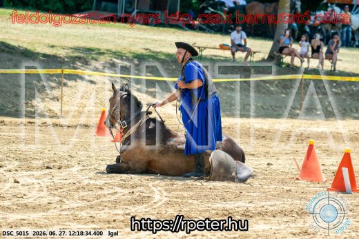 Mintakép 20260627-2867