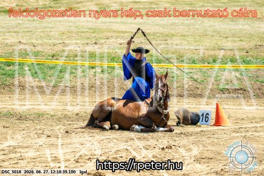 Mintakép 20260627-2870