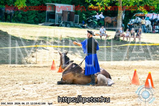 Mintakép 20260627-2871
