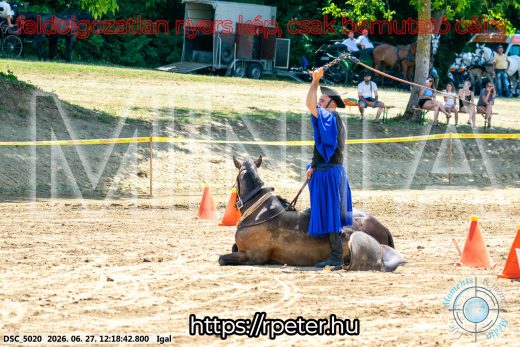 Mintakép 20260627-2872