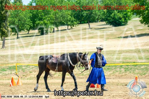 Mintakép 20260627-2888