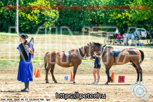 Mintakép 20260627-2889