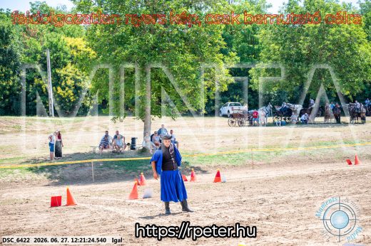 Mintakép 20260627-2903