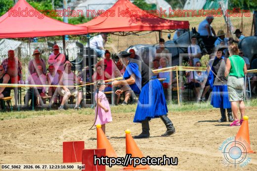 Mintakép 20260627-2923
