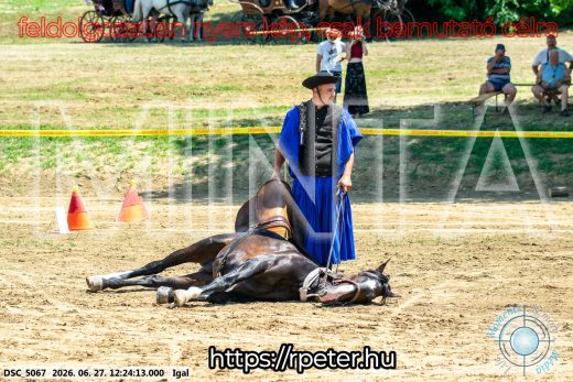 Mintakép 20260627-2932