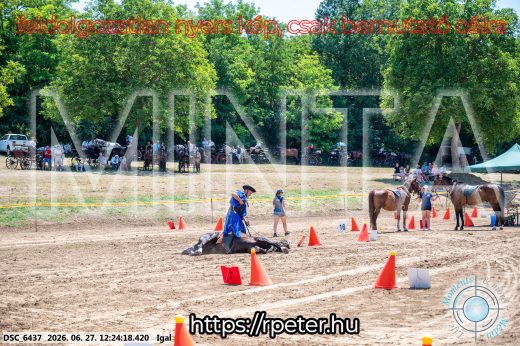 Mintakép 20260627-2934