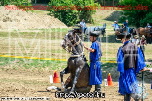 Mintakép 20260627-2936