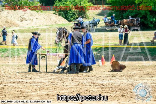 Mintakép 20260627-2938