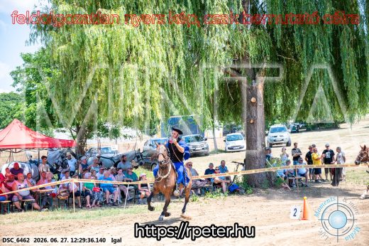 Mintakép 20260627-2978