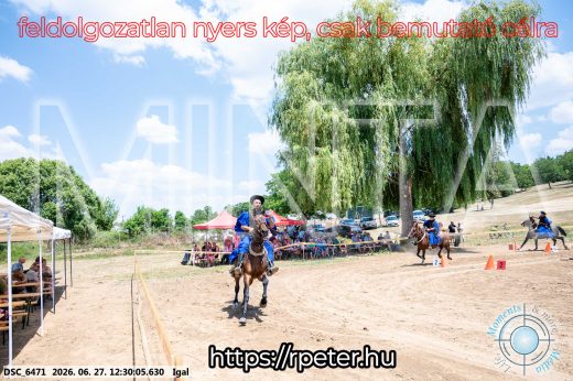 Mintakép 20260627-2995