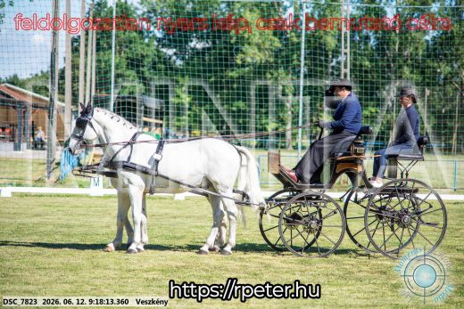 Mintakép 20260612-176