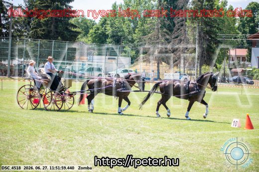 20260627-115159-DSC_4518.jpg