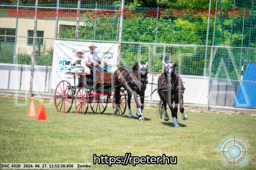 20260627-115220-DSC_4520.jpg