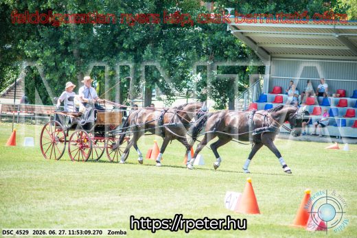 Mintakép 20260627-3075