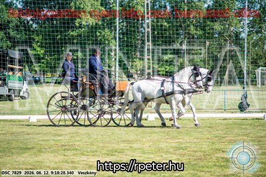 Mintakép 20260612-182