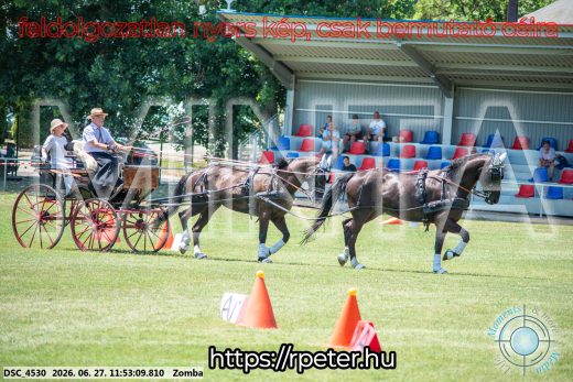 Mintakép 20260627-3076