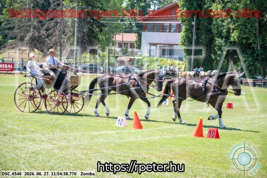 Mintakép 20260627-3090