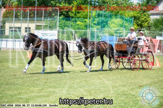 Mintakép 20260627-3100