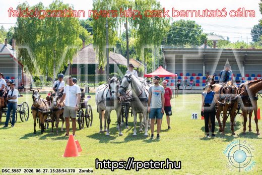 Mintakép 20260627-3111