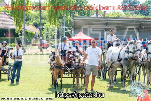 Mintakép 20260627-3113