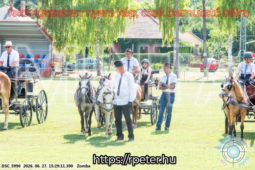 Mintakép 20260627-3114
