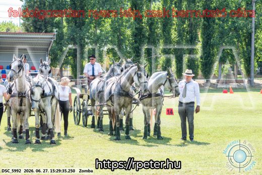 Mintakép 20260627-3115