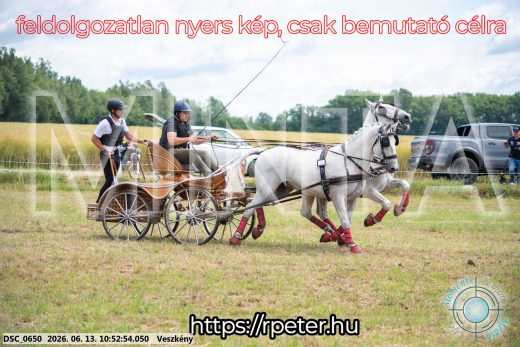 Mintakép 20260613-265
