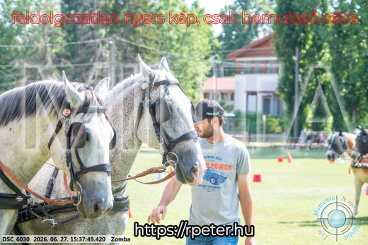 Mintakép 20260627-3151