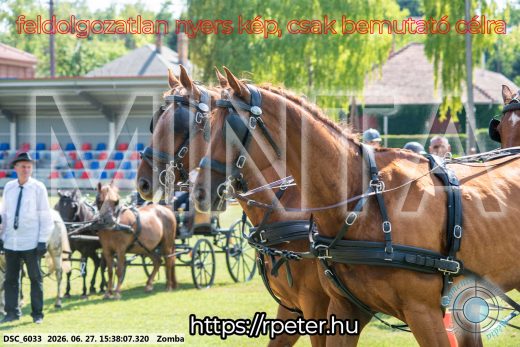 Mintakép 20260627-3154