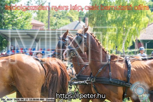 Mintakép 20260627-3155