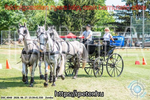 Mintakép 20260627-3168