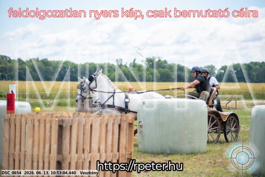 Mintakép 20260613-269