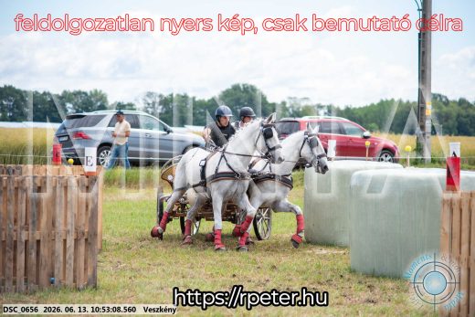 Mintakép 20260613-271