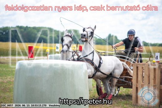 Mintakép 20260613-272