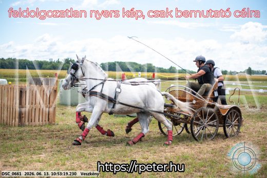 Mintakép 20260613-276