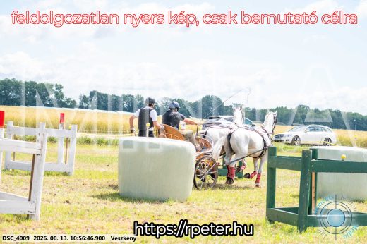 Mintakép 20260613-298